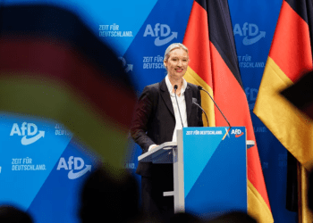 德国另类选择党（AfD）认为：“比特币独具特色，与其他加密货币有所不同”